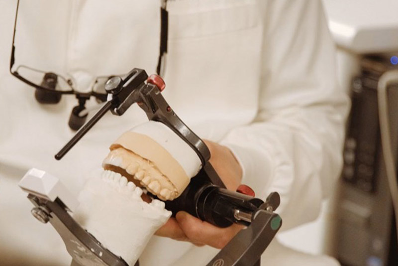 An image of a dentist holding a full mouth model.