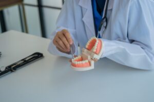 Dentist explaining front dental crowns to patient using dental models.