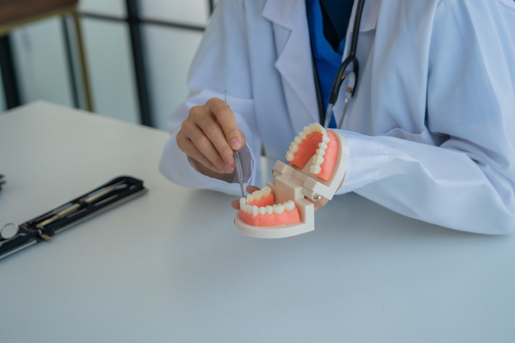 Dentist explaining front dental crowns to patient using dental models.